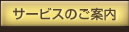 �T�[�r�X�̂��ē�